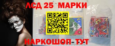 гидропоника Краснознаменск