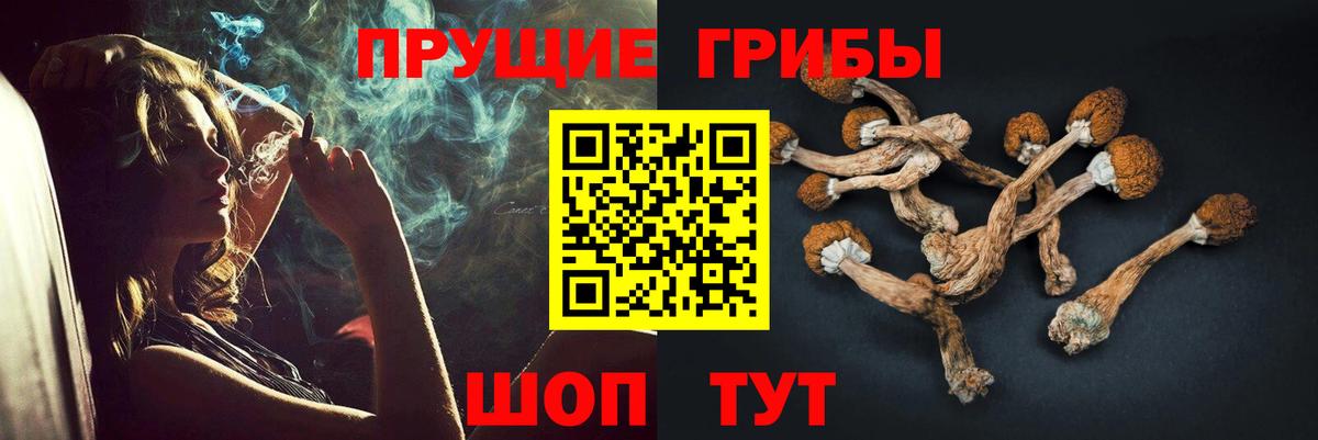 Чапаевск  хочу наркоту  Вход с VPN  Галлюциногенные грибы GOLDEN TEACHER  Псилоцибиновые грибы мухоморы 
